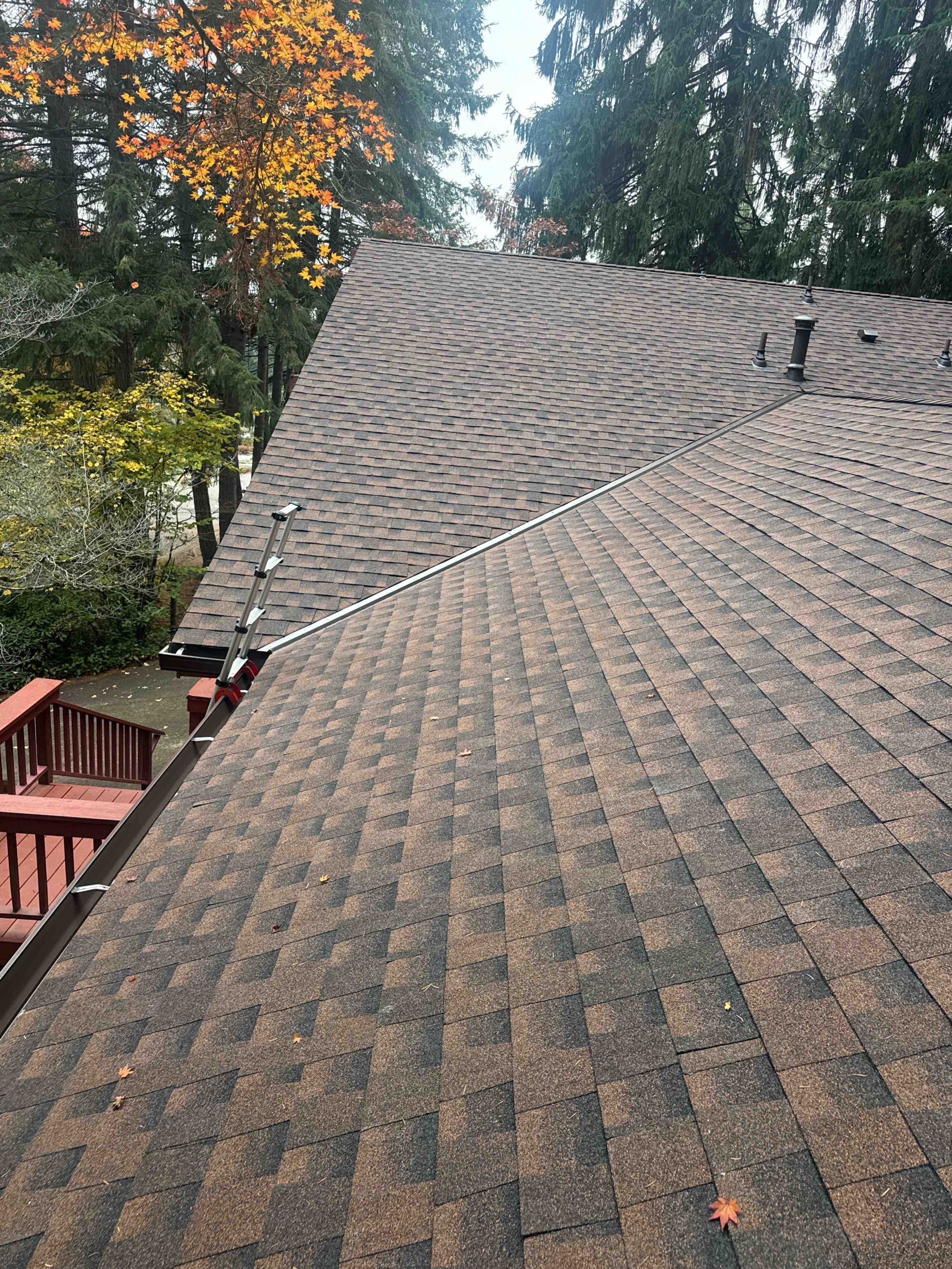 How to Document Roof Storm Damage for Insurance in Eugene Oregon